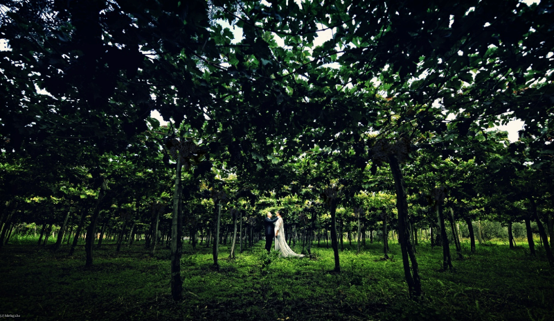 Vision Photography